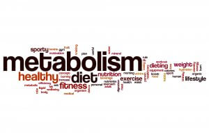 Metabolism word cloud concept